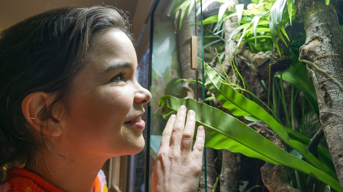 Anna und die Haustiere