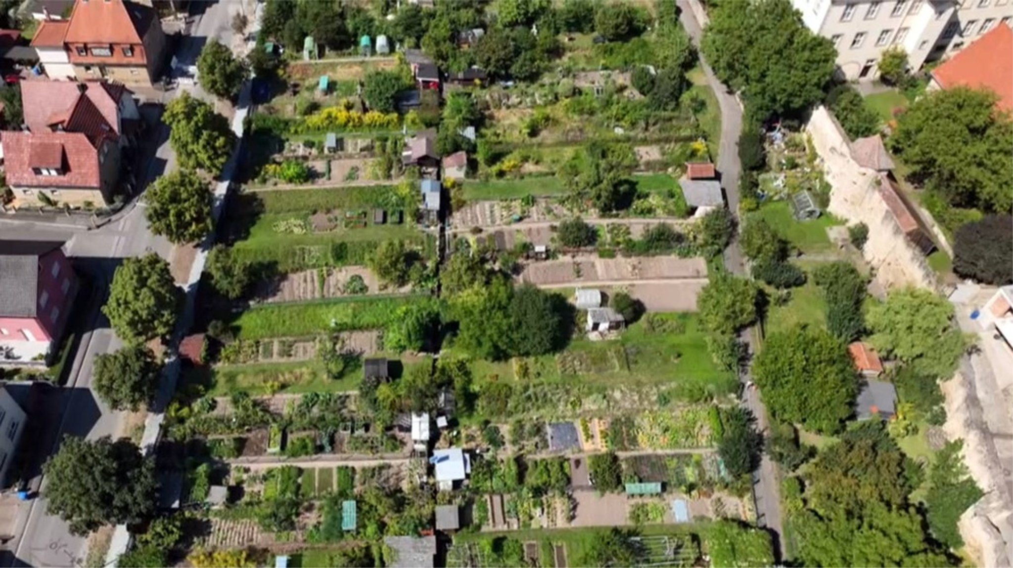 An der Zeiler Stadtmauer: Geschichten aus den Grabengärten