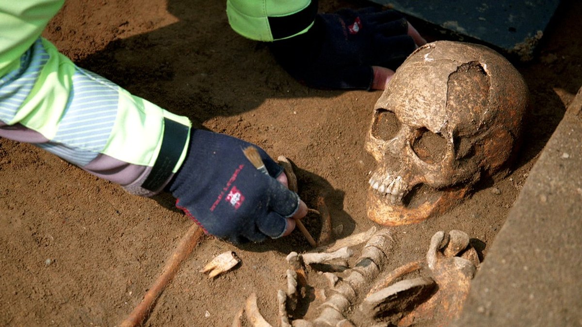 Archäologie trifft Umweltschutz: Geheimnisvolle Funde beim Donauausbau