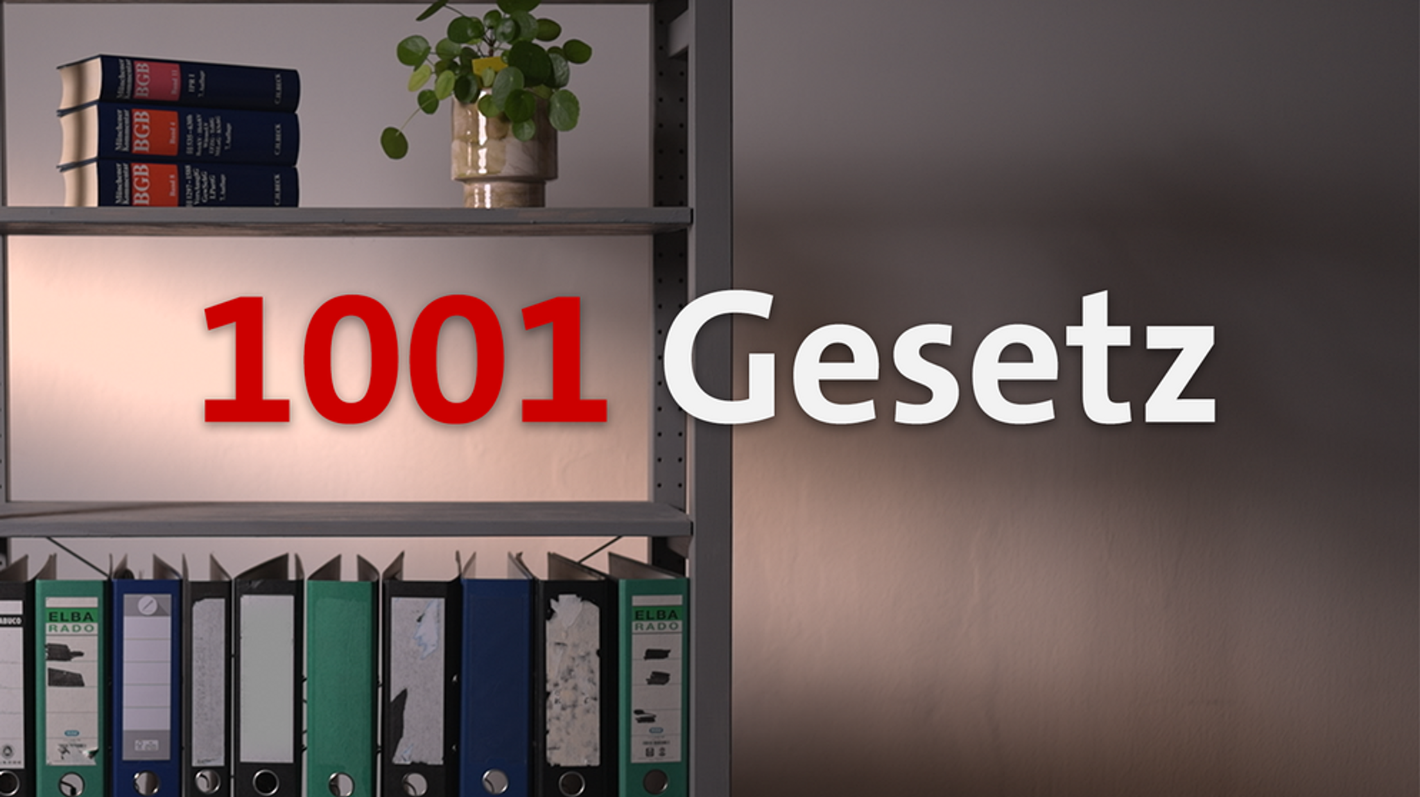 Reportage-Serie: 1001 Gesetz