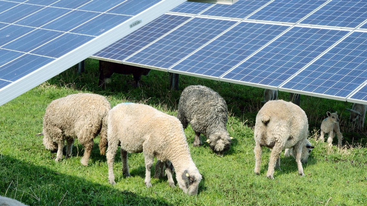 Erneuerbare Energien: Ackerland oder Sonnenbank?