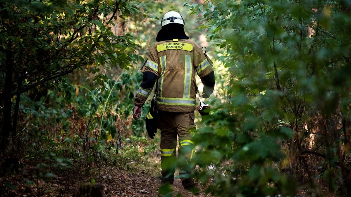 Waldbrände: Das Waldbrandrisiko steigt