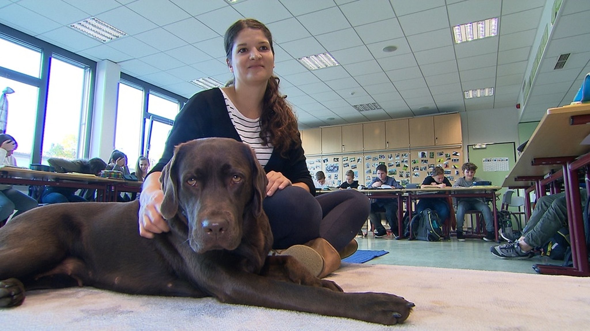 Tierisch gut: Hunde helfen Schülern