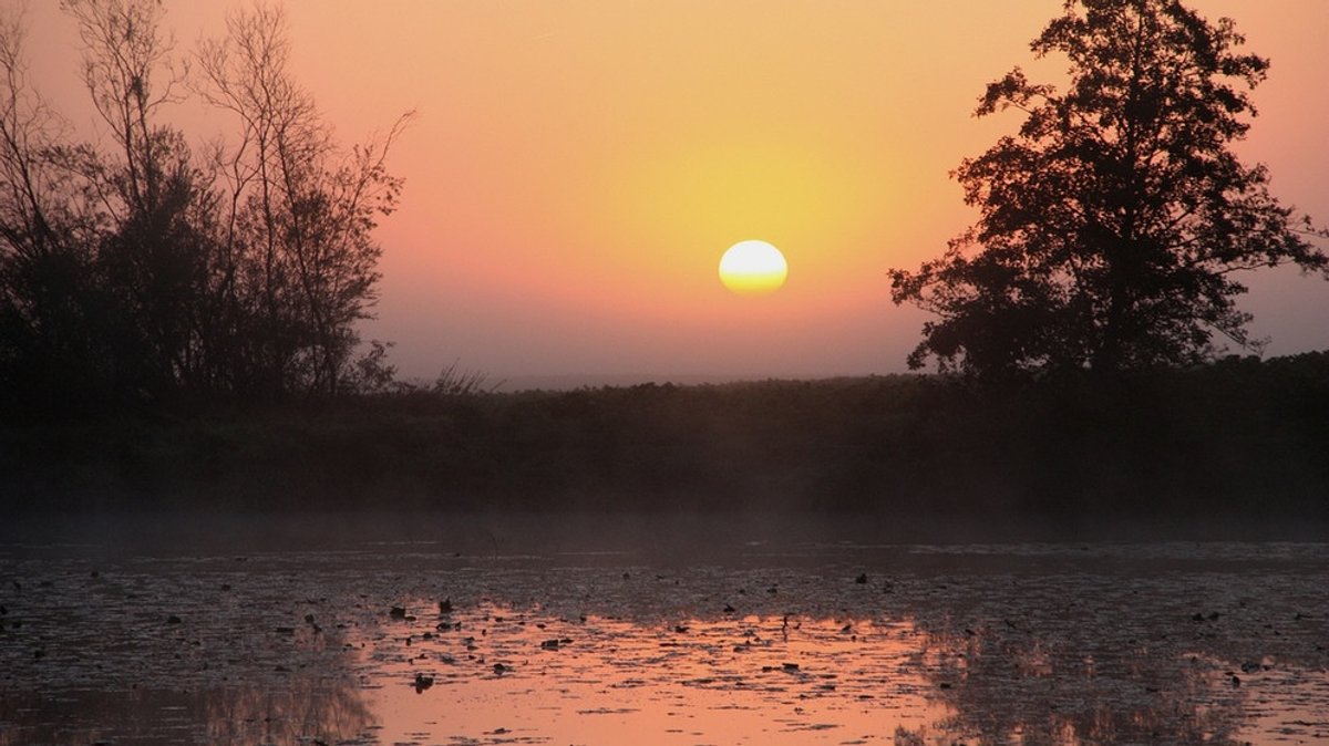 Abenteuer Wildnis: Die Stimme der Donau