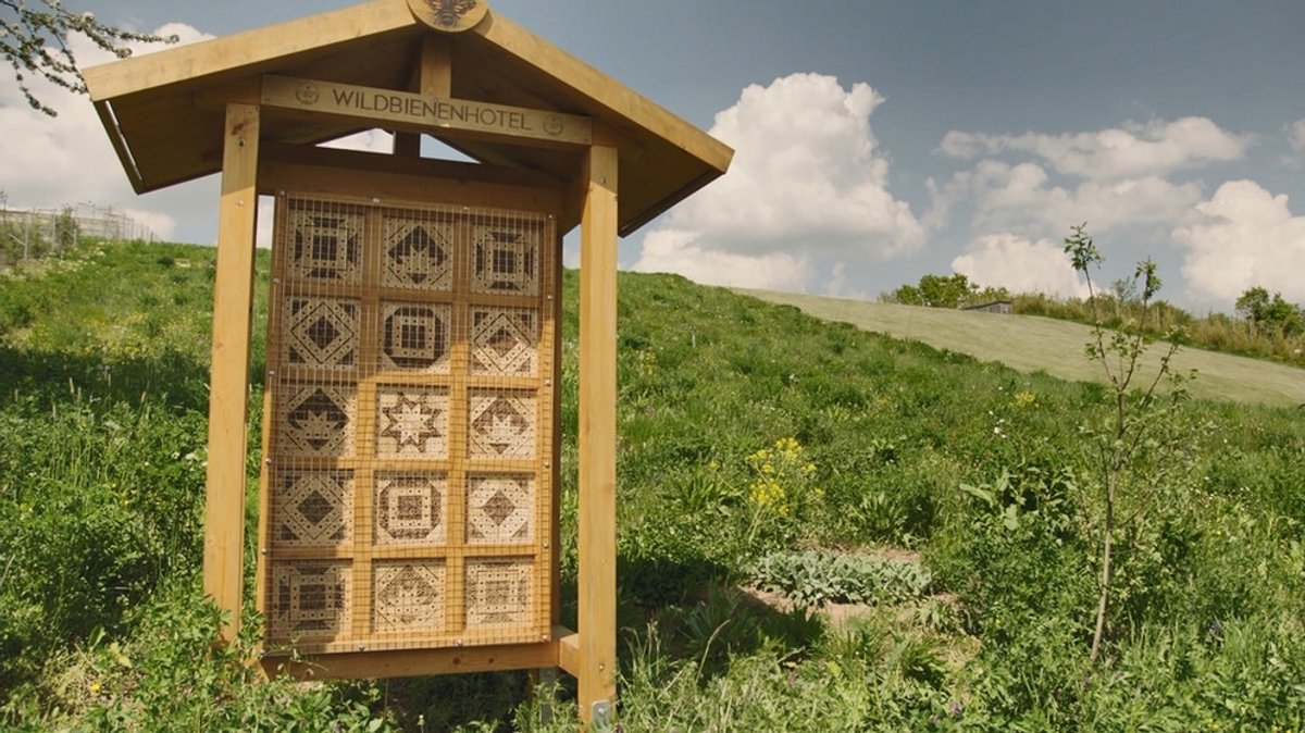 Naturgarten: Nisthilfe für Wildbienen