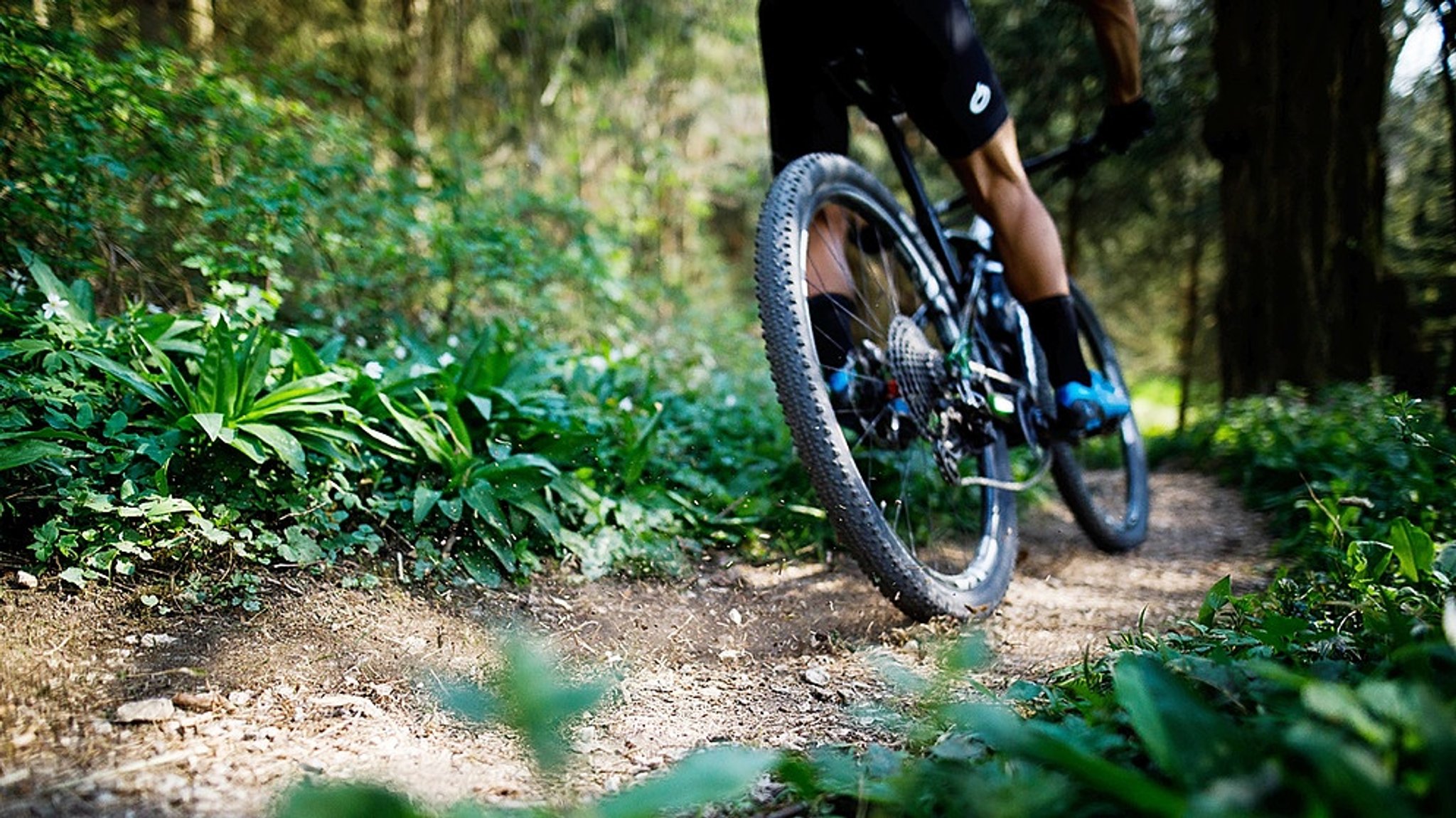 Ärger an der Isar: Mountainbiker zerstören Natur