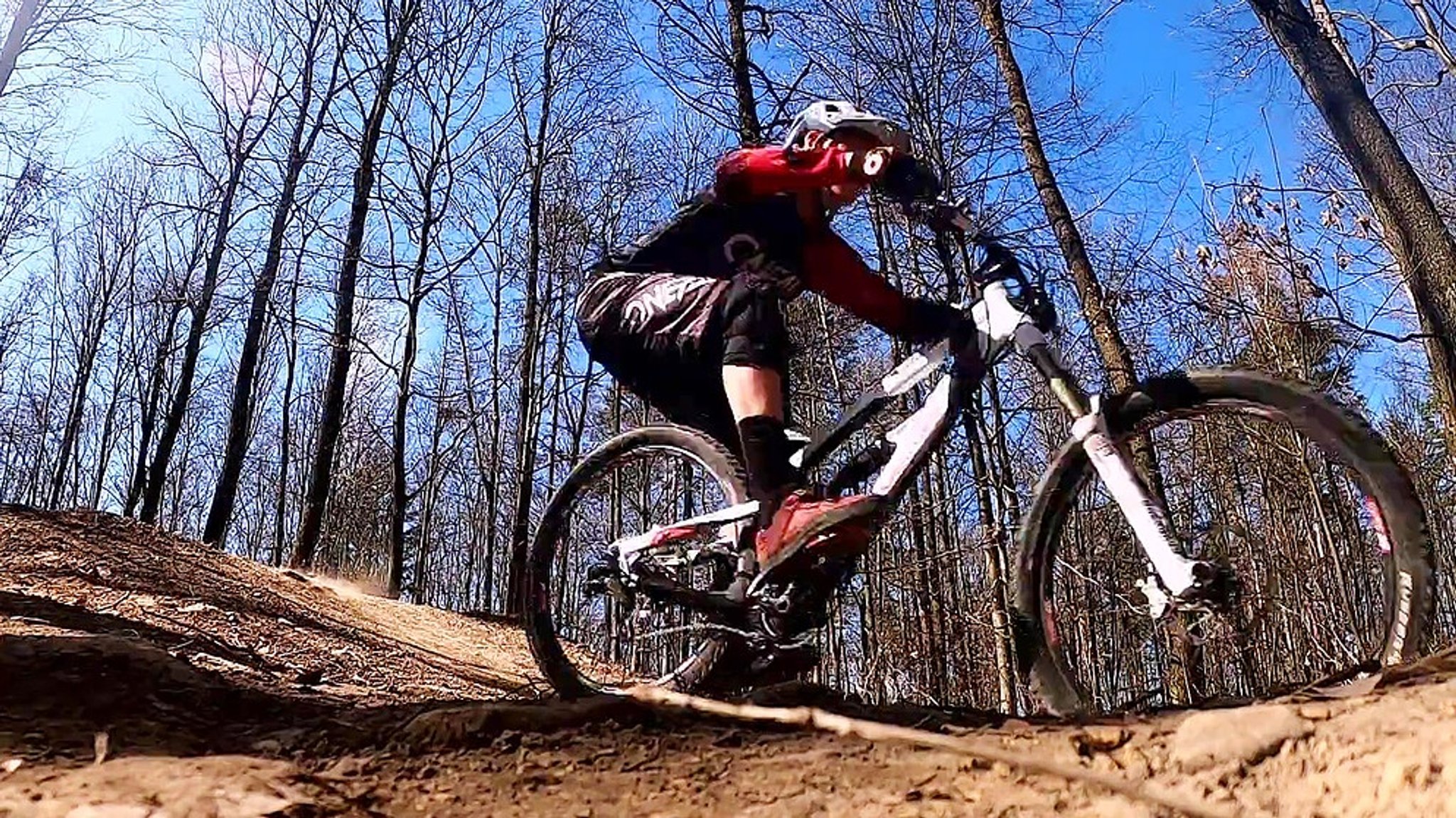 Ärgerlich und umweltschädlich: Mountainbiker im Wald