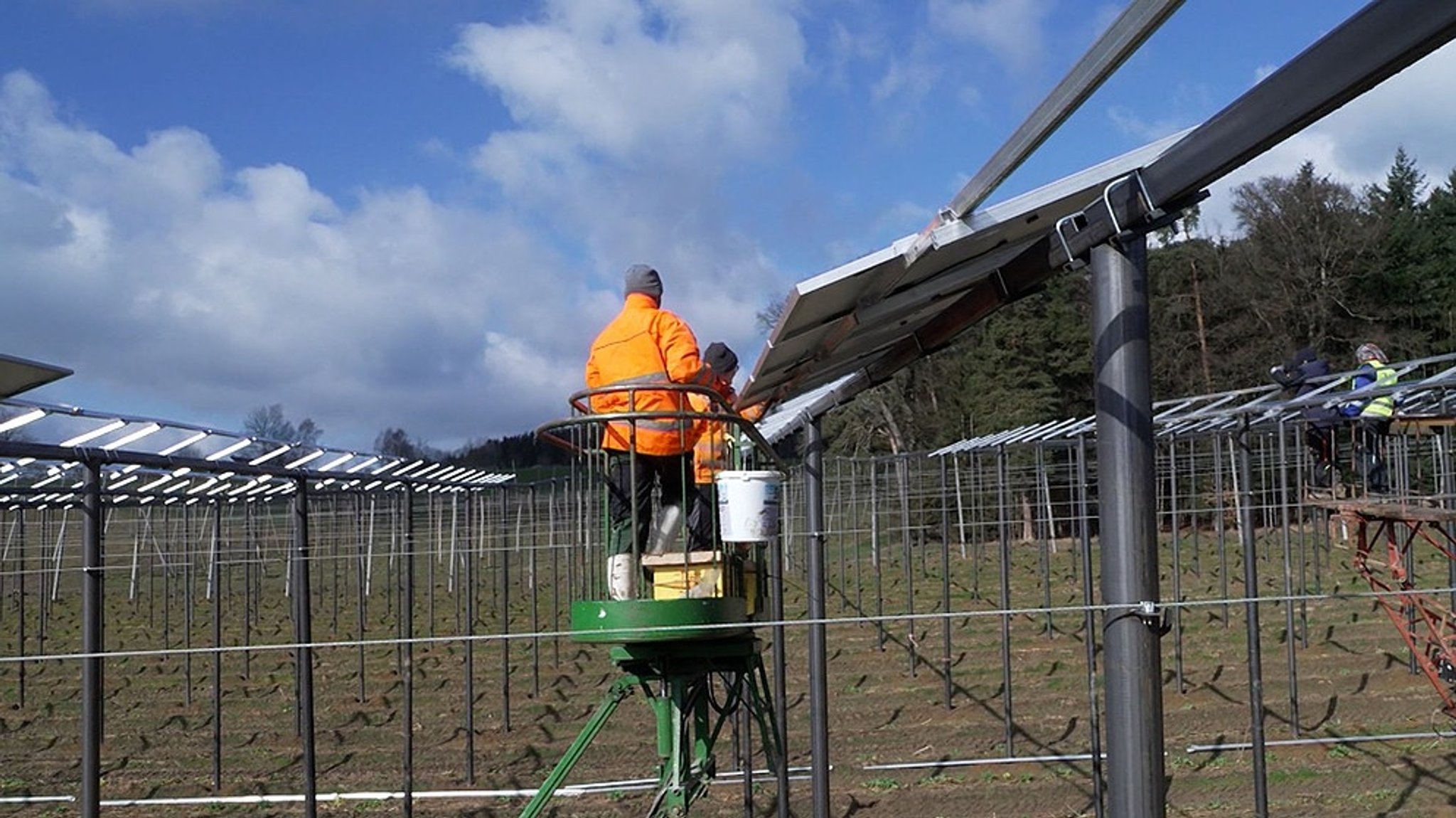 Agri-PV-Anlagen: Strom erzeugen im Hopfengarten