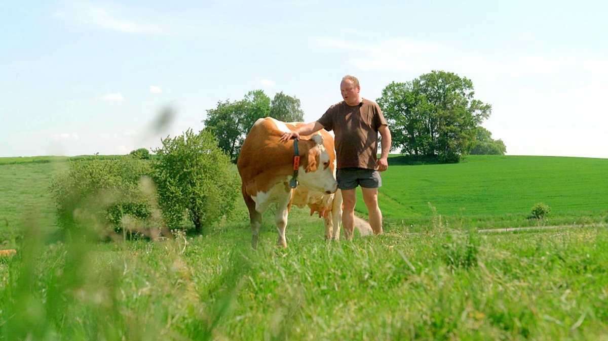 Klimaschutz: Wie Kühe weniger Methan rülpsen