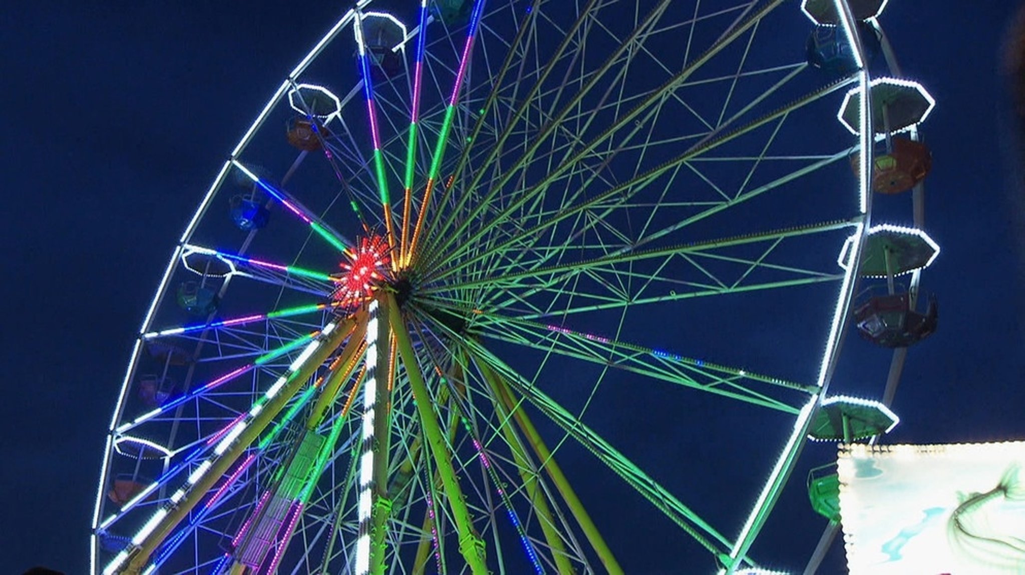 Unter unserem Himmel : Das Karpfhamer Fest