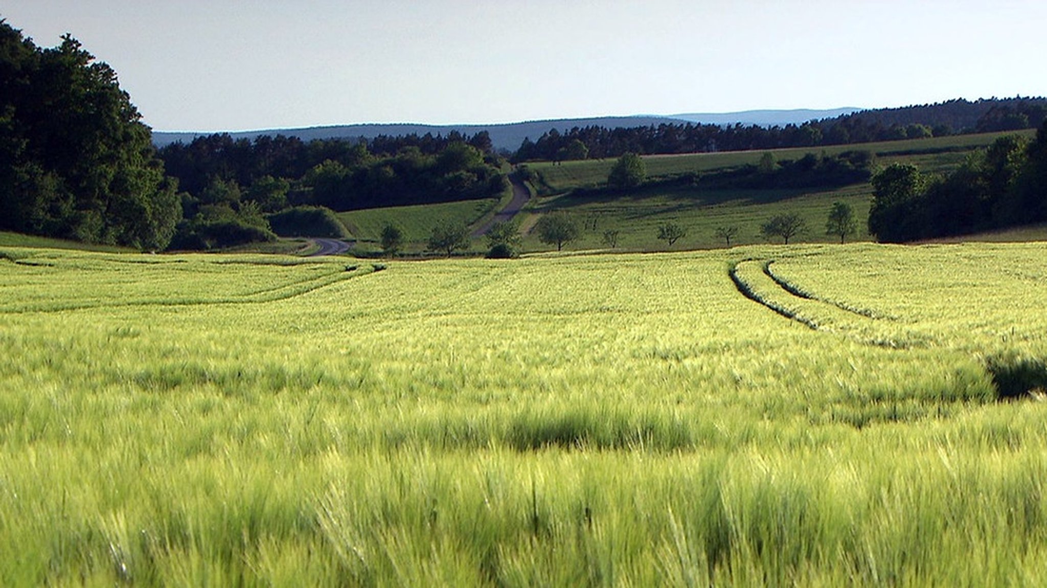 Unter unserem Himmel: Rhön, Land mit weitem Blick