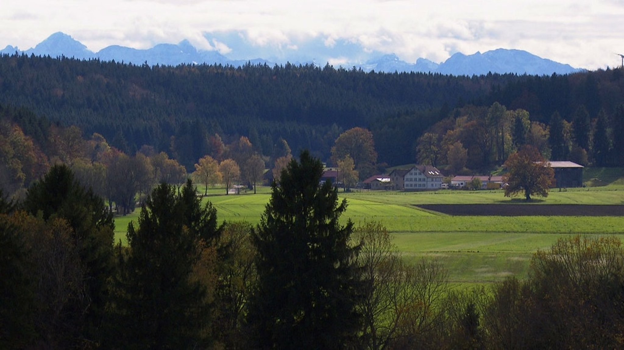 Unter unserem Himmel: Im Fuchstal