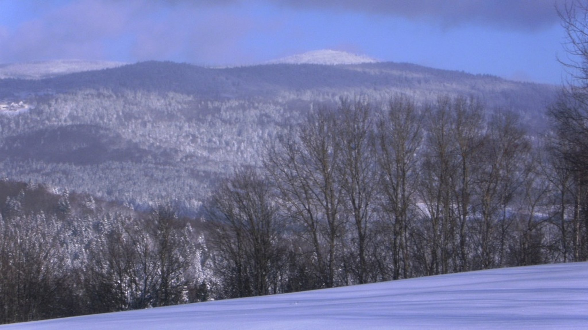 Winter im Bayerischen Wald