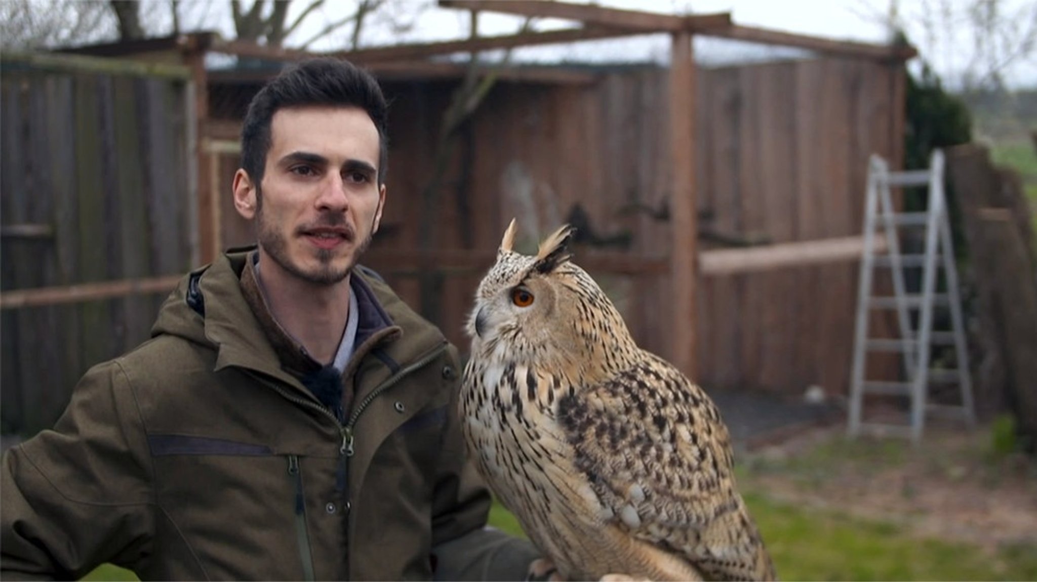 Ein Herz für Uhu und Eule: Die Greifvogelstation Krautostheim