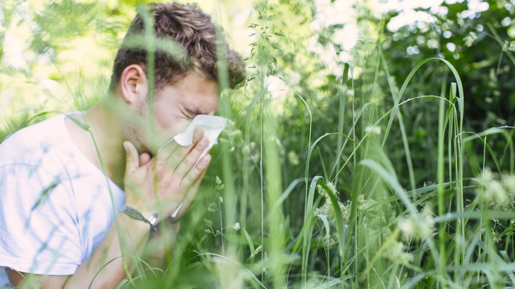 HNO-Medizin: Heuschnupfen im Herbst? Warum Pollen jetzt noch fliegen