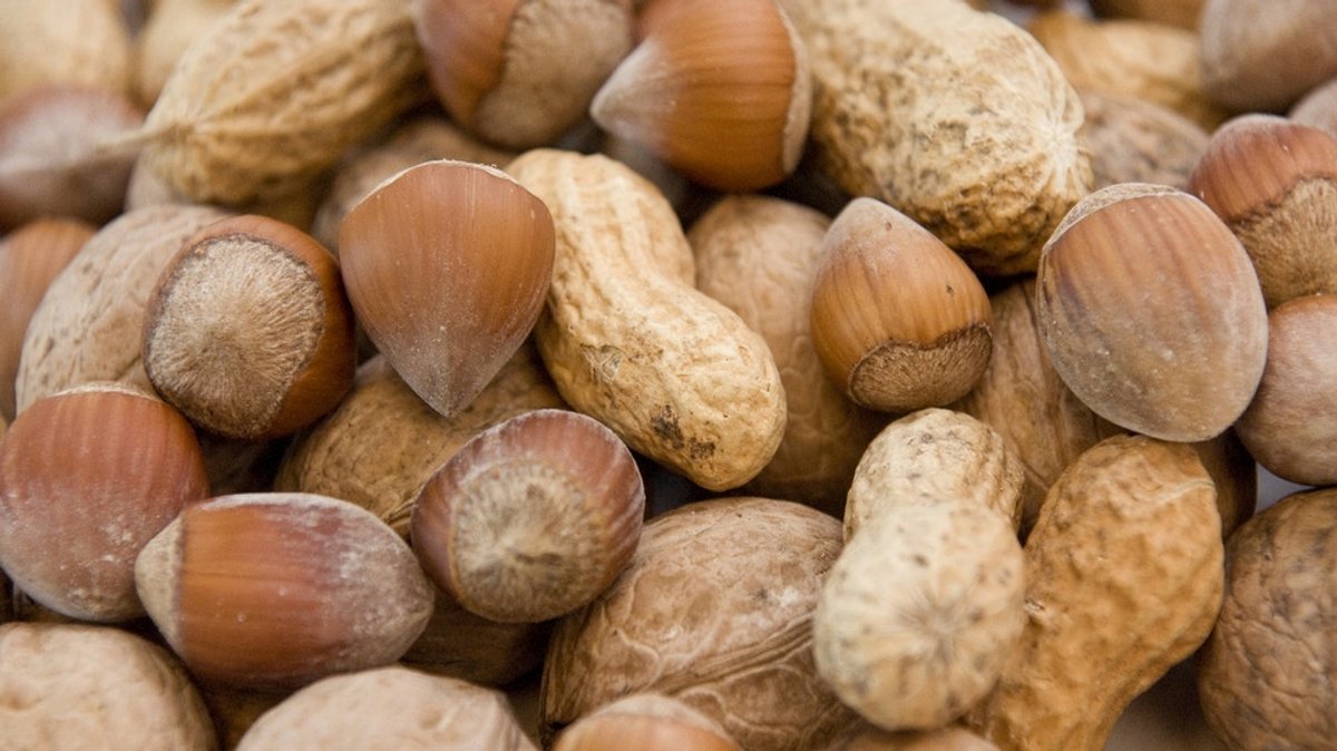 Ernährung: Wie gesund sind Nüsse?