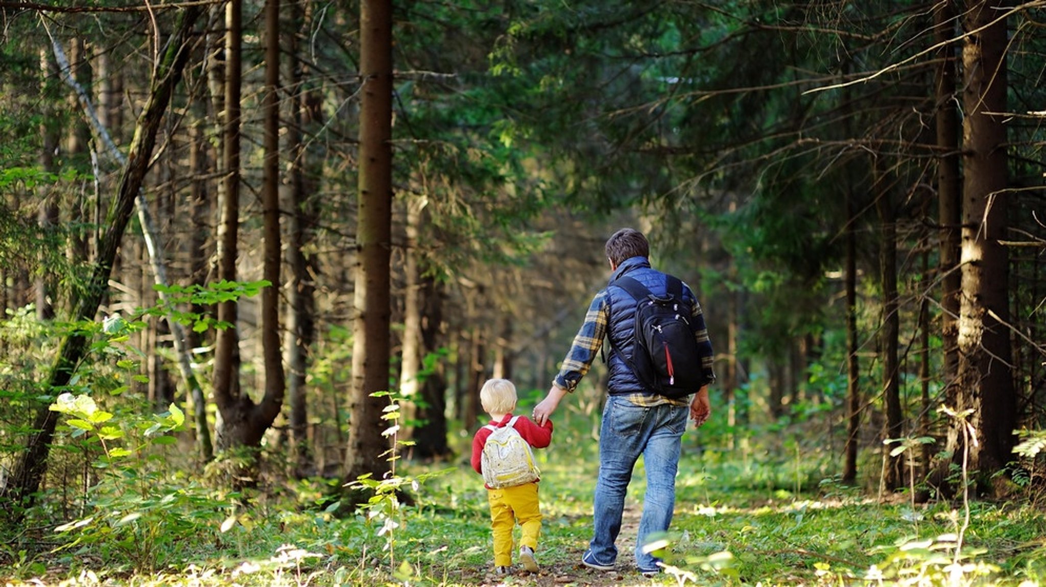 Die besten Wandertipps: Unterwegs mit "Wir in Bayern"