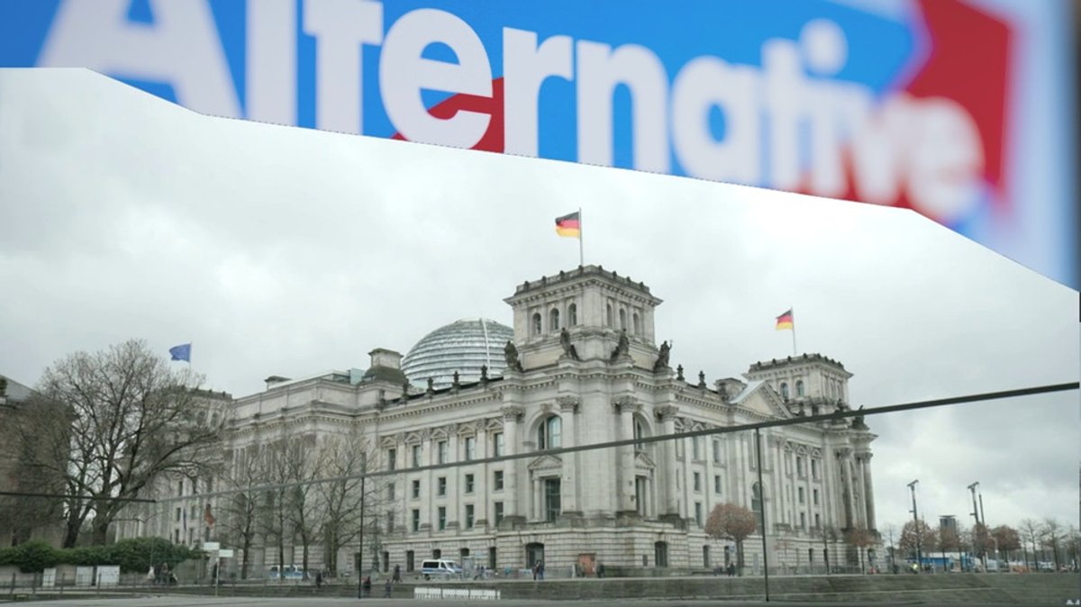 Neue Recherchen: Die AfD im Bundestag und der Rechtsextremismus