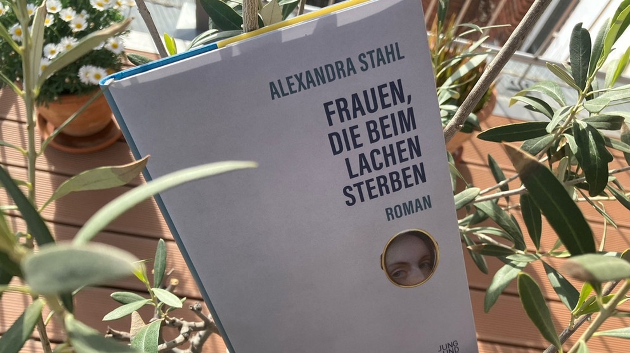 Buchtipp: Alexandra Stahl – "Frauen, die beim Lachen sterben"