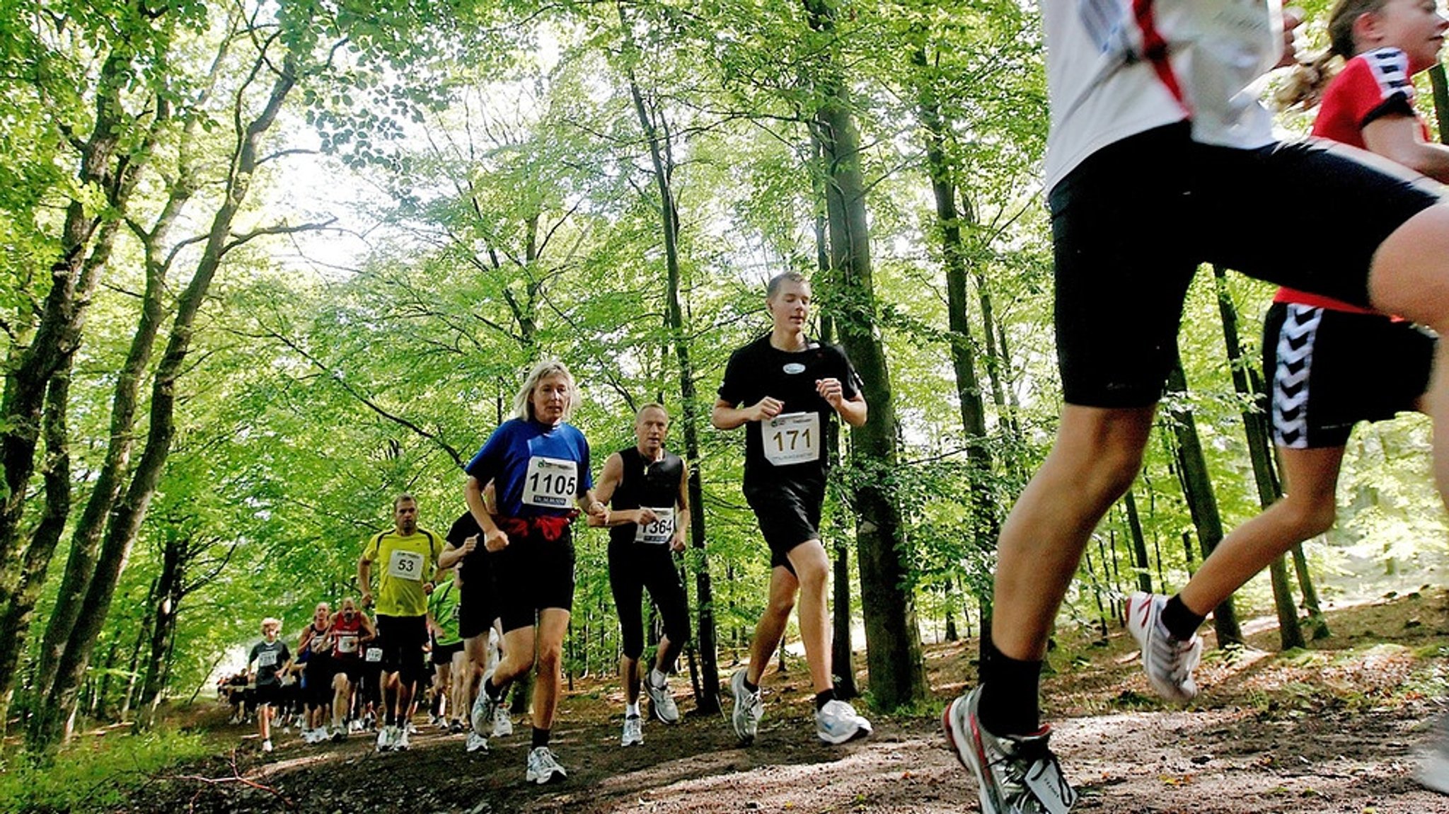 Für Sportler: Trail-Running auf dem Altmühltal-Panoramaweg