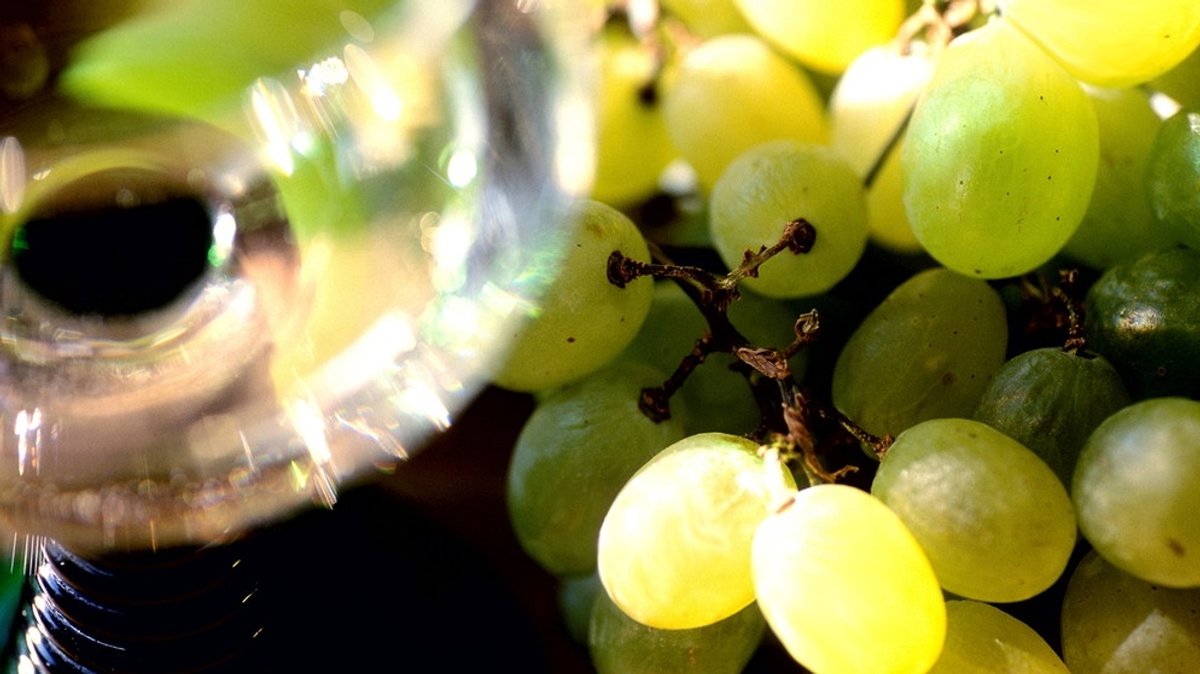 Die Franken und ihr Wein: Kleine Frankenweinkunde
