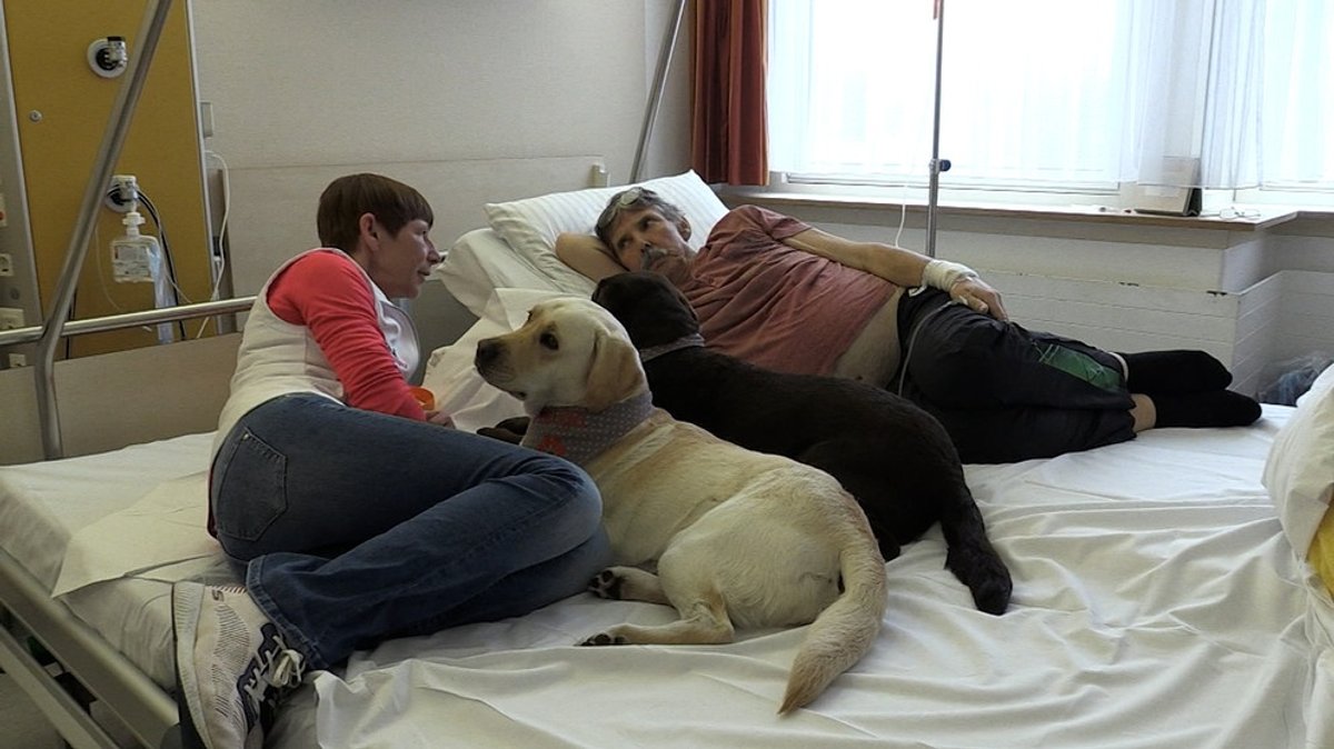 Memmingen: Therapiehunde für Palliativpatienten