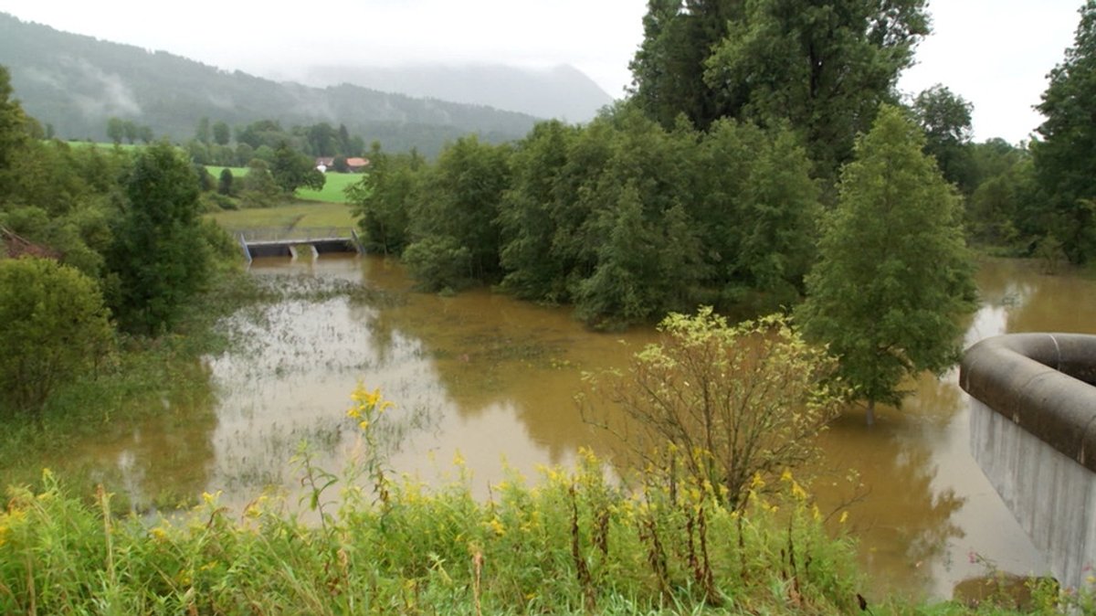 Flutpolder im Allgäu: Gut gegen Hochwasser und gut für die Natur