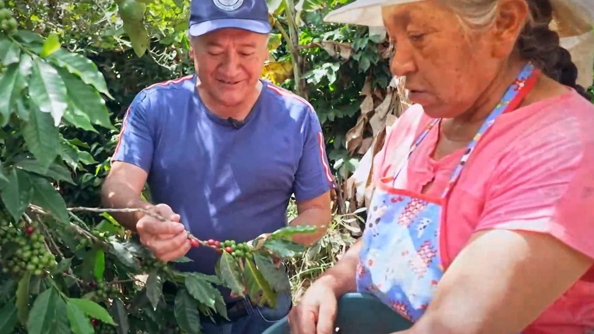 Friedensarbeit in Kolumbien: Kaffee statt Koka: Kokabauern für den Frieden