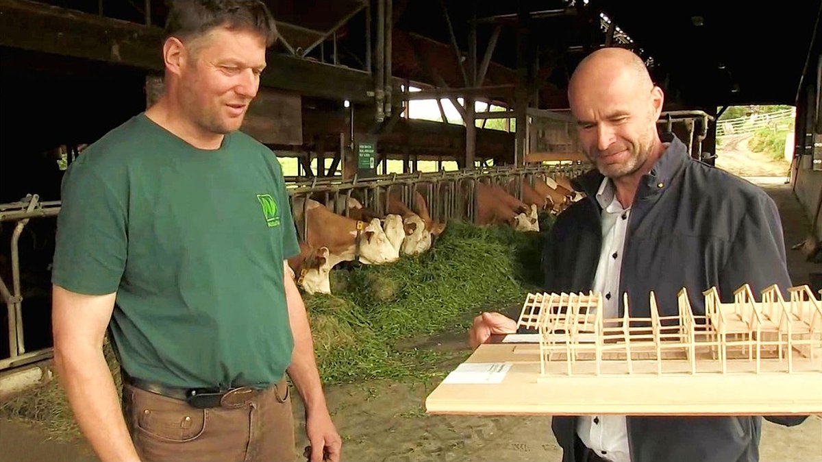 Hitze in Bayern: Wie können Landwirte ihre Ställe gegen Hitze schützen?