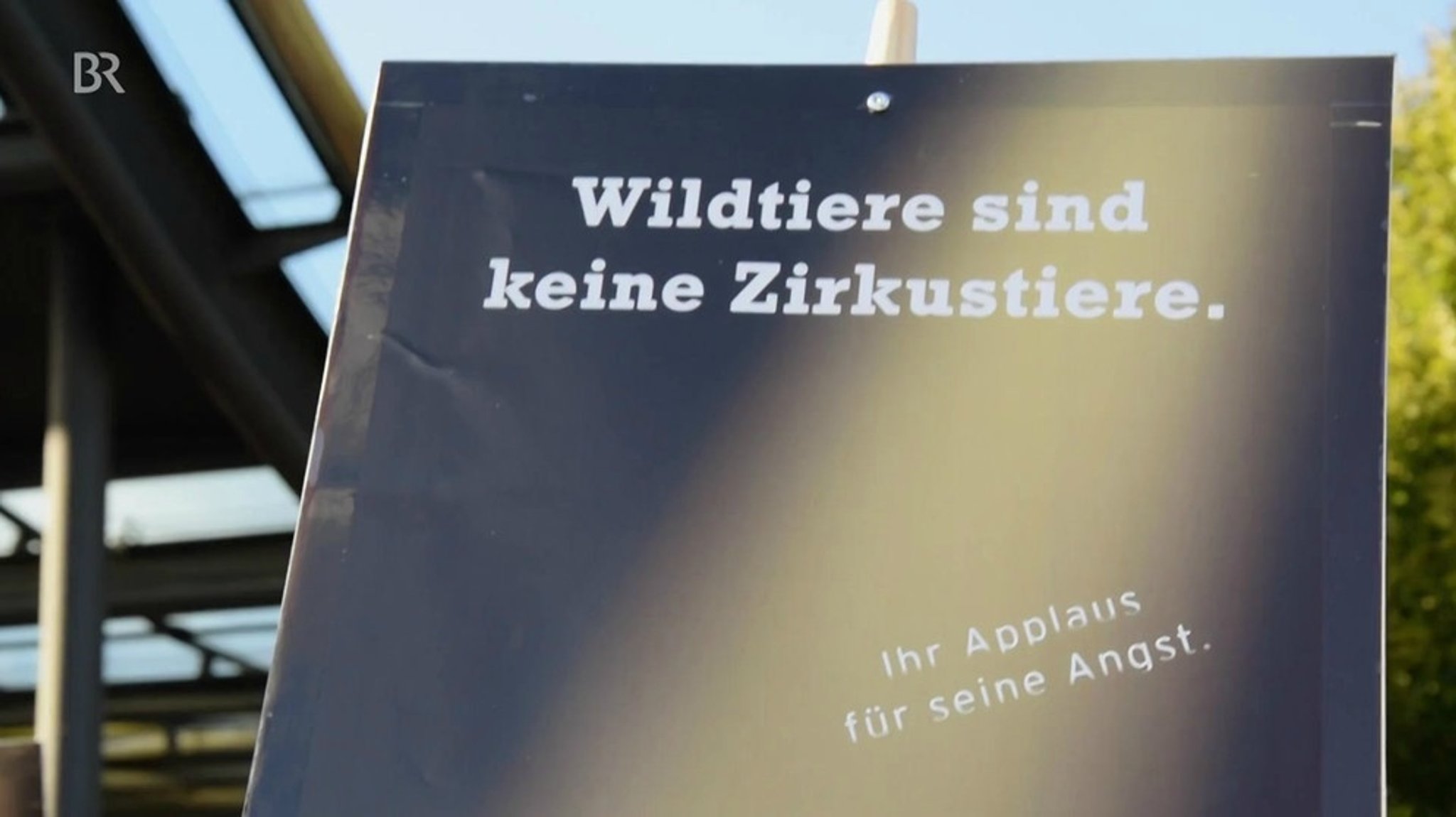 Tierliebe oder Tierquälerei?: Zirkustiere in der Manege