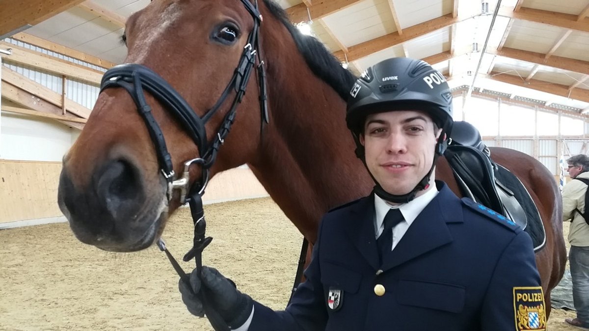 Polizeipferde: Pferde im Dienste der Polizei