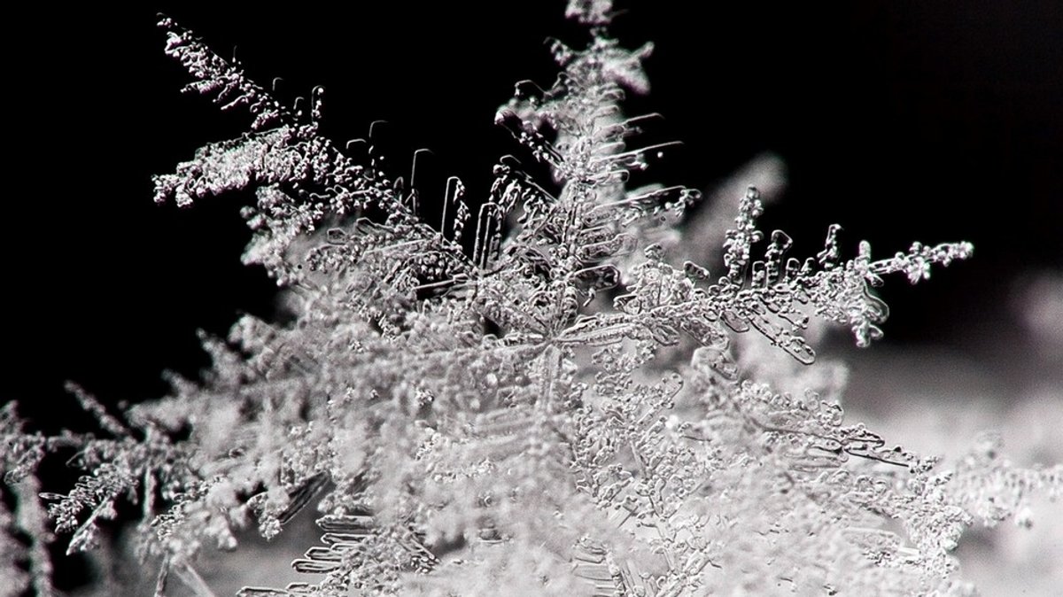 Winter: Schnee - Eiskristalle aus dem Himmel