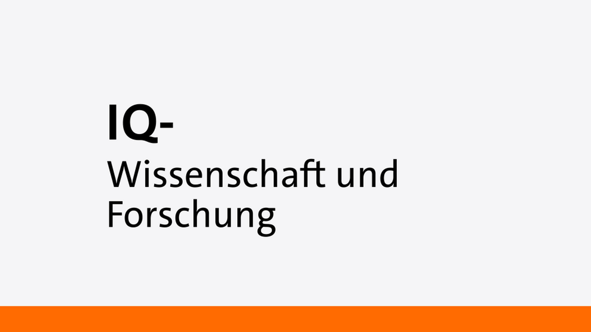 Zucker macht dumm: Das Gehirn und die Sucht nach Süßem