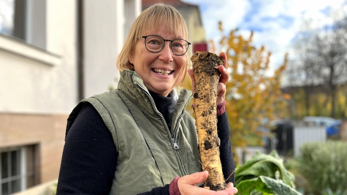 Meerrettich anbauen: Meerrettich im Rohr pflanzen - für eine mühelose Ernte