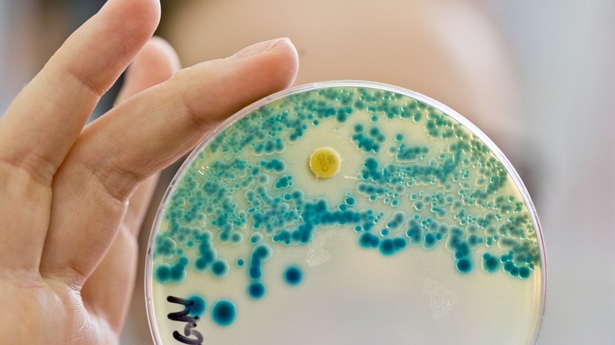 Multiresistente Keime: Wenn Antibiotika nicht mehr wirken