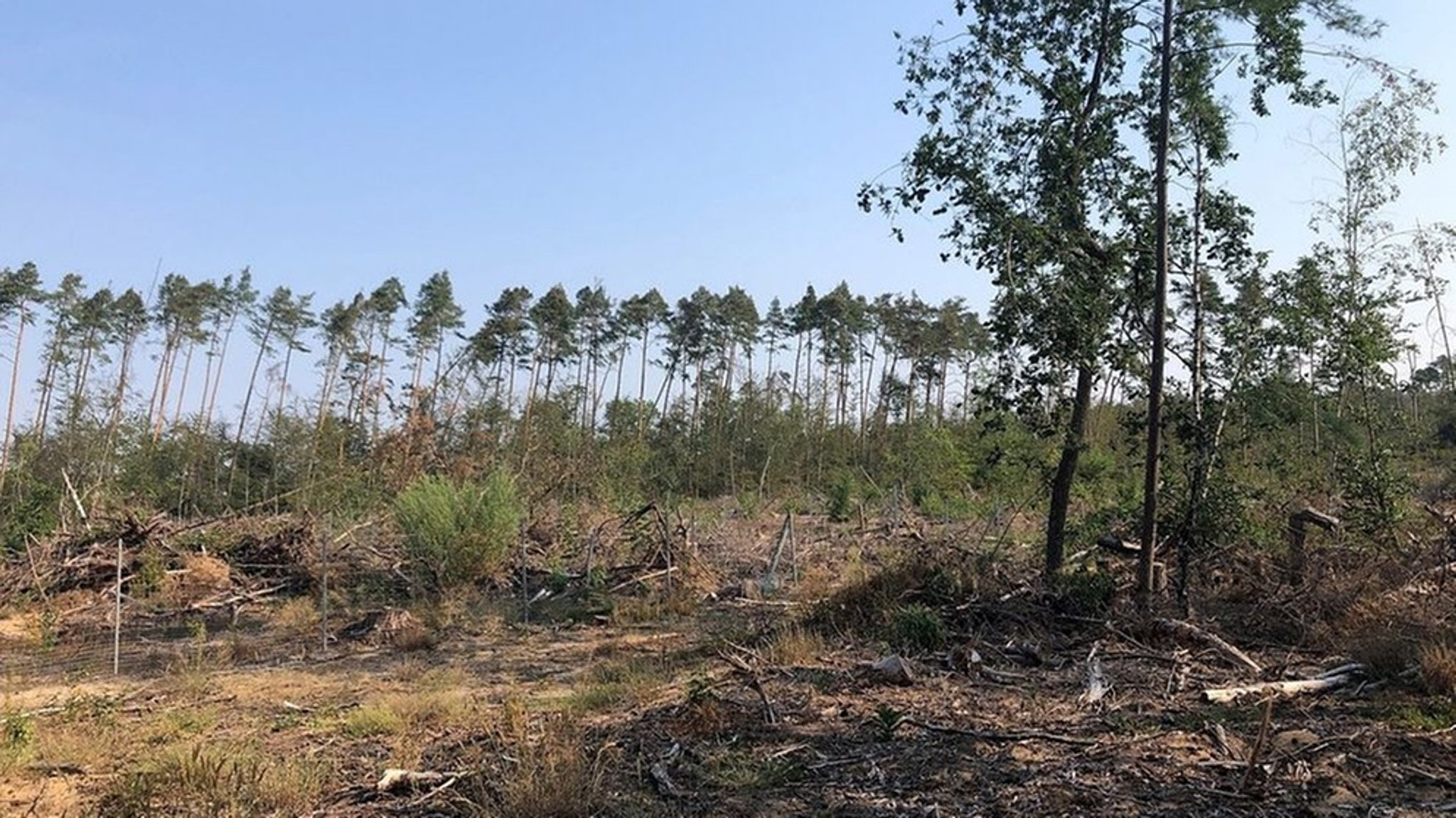 Unterfranken spürt den Klimawandel besonders: Trocken, trockener, Würzburg