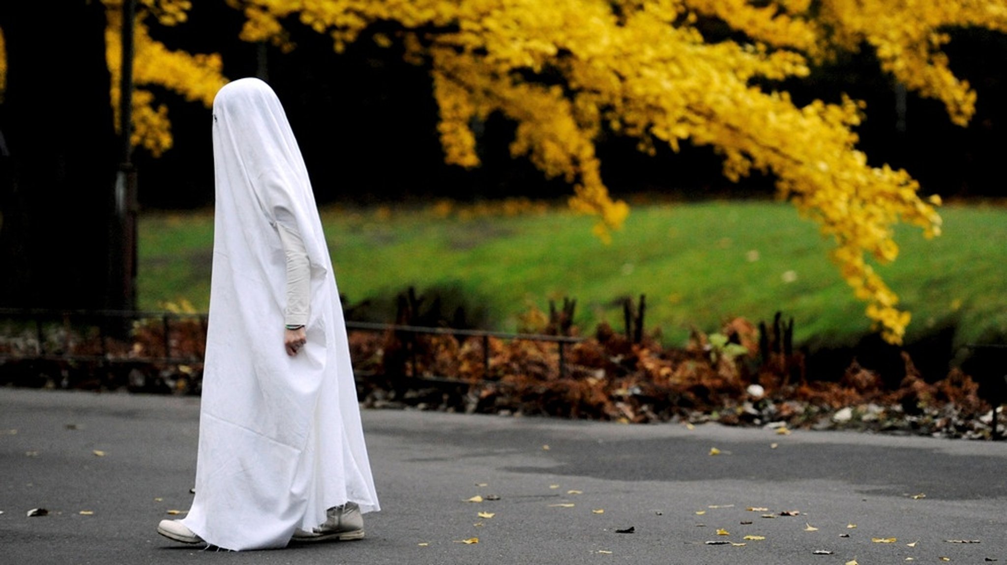 Rund um den Grusel-Kürbis: Halloween scheidet die Geister