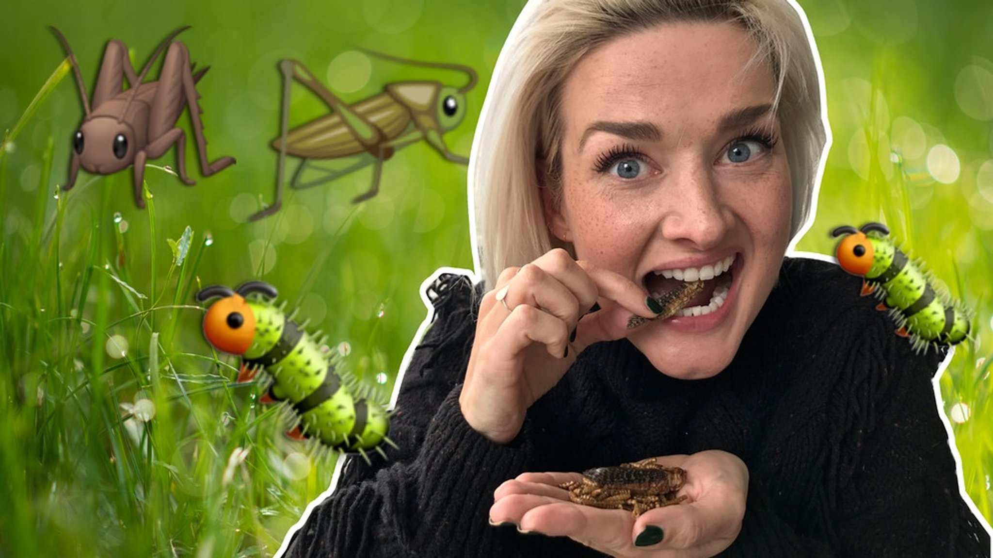 Kochen mit Insekten: Insekten essen: Fleischersatz & Klimaretter?