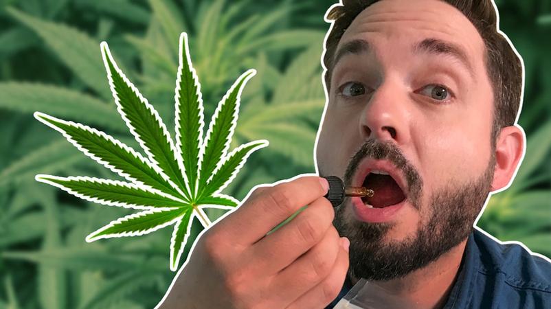 Wunderarznei Oder Placebo Das Cannabis Mittel Cbd Br24