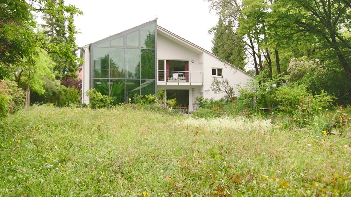 Arnika, Klappertopf und Co.: Wildblumenwiese im Garten