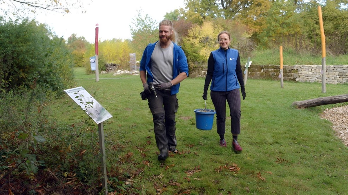 Was tun im Herbst?: Tipps für einen igelfreundlichen Garten