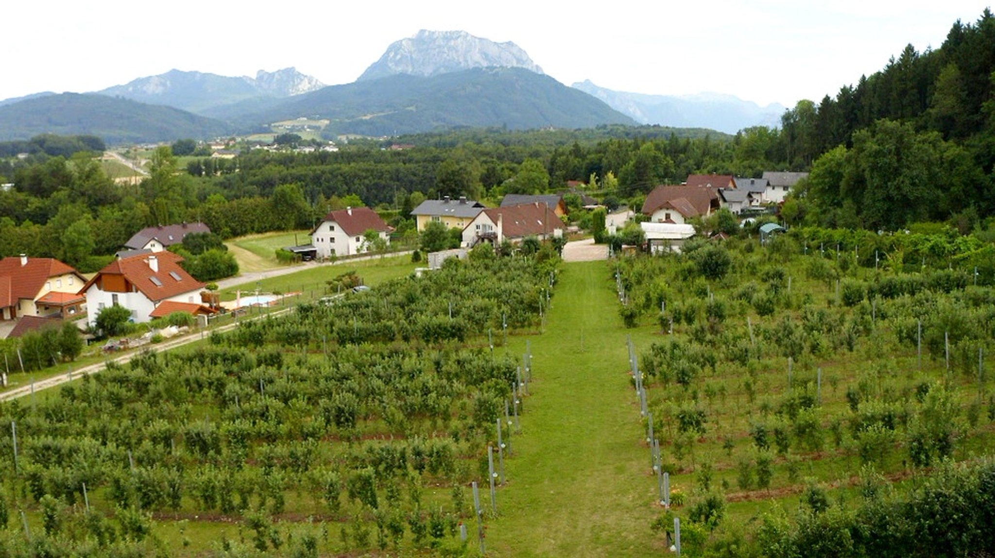 Sortenvielfalt: Obstsortengarten Ohlsdorf