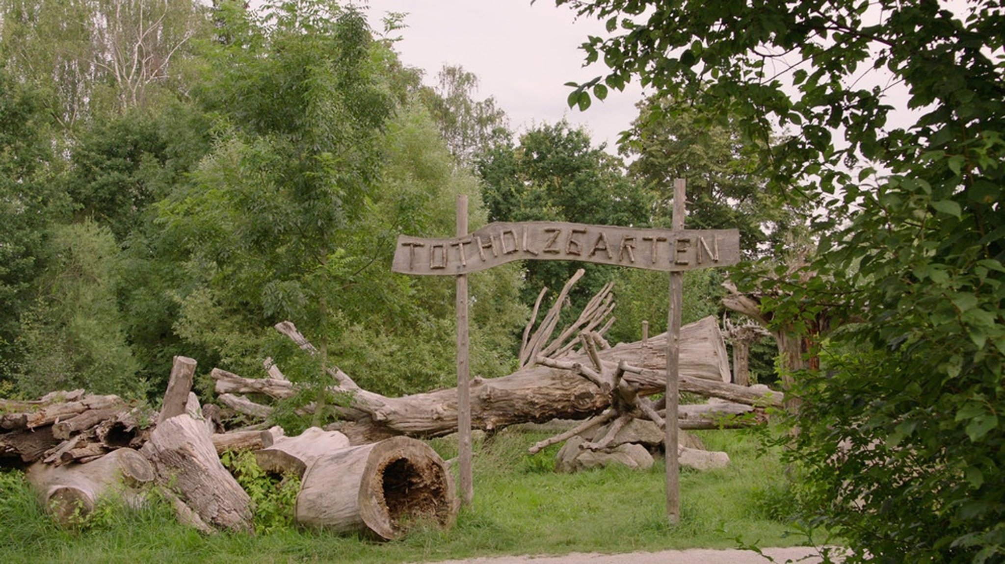 Lebensraum Totholz: Totholzgarten Schwabach