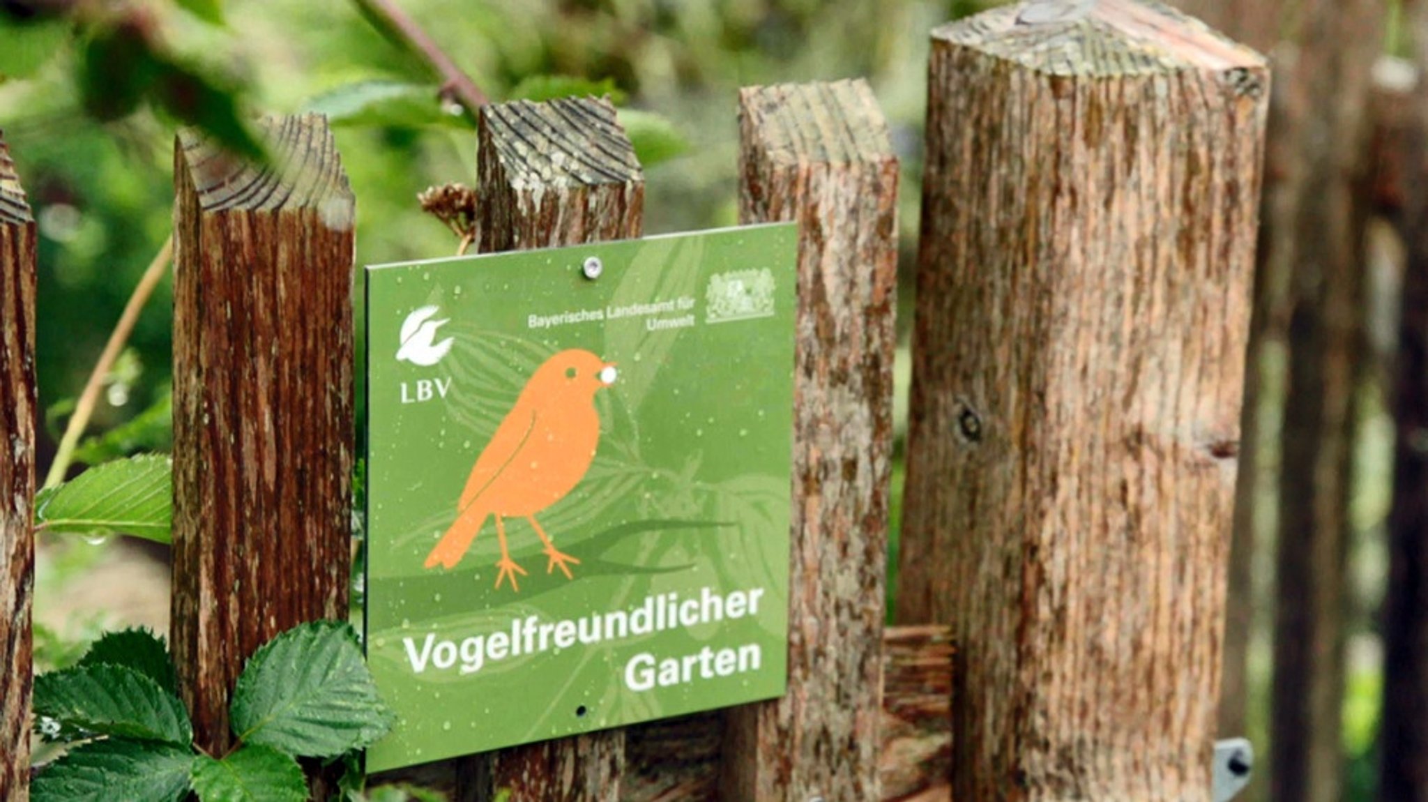 Bayernweite Aktion: Vogelfreundlicher Garten