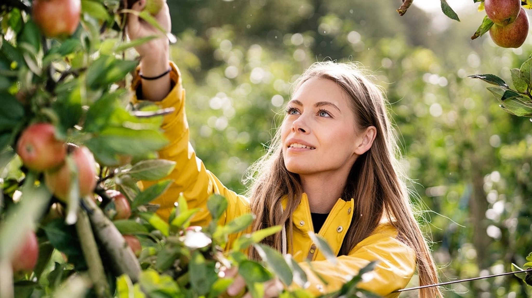 Nachhaltigkeit: Tipps und Tricks für ein grüneres Leben