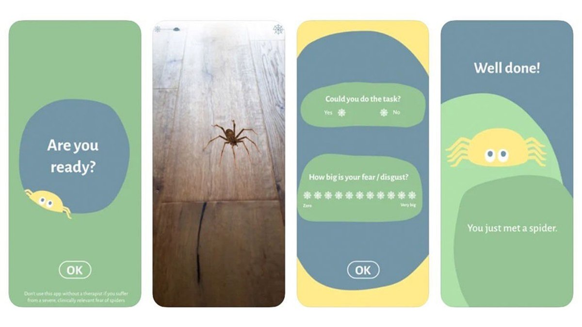 Spinnenphobie: Angst vor Spinnen mit einer App überwinden