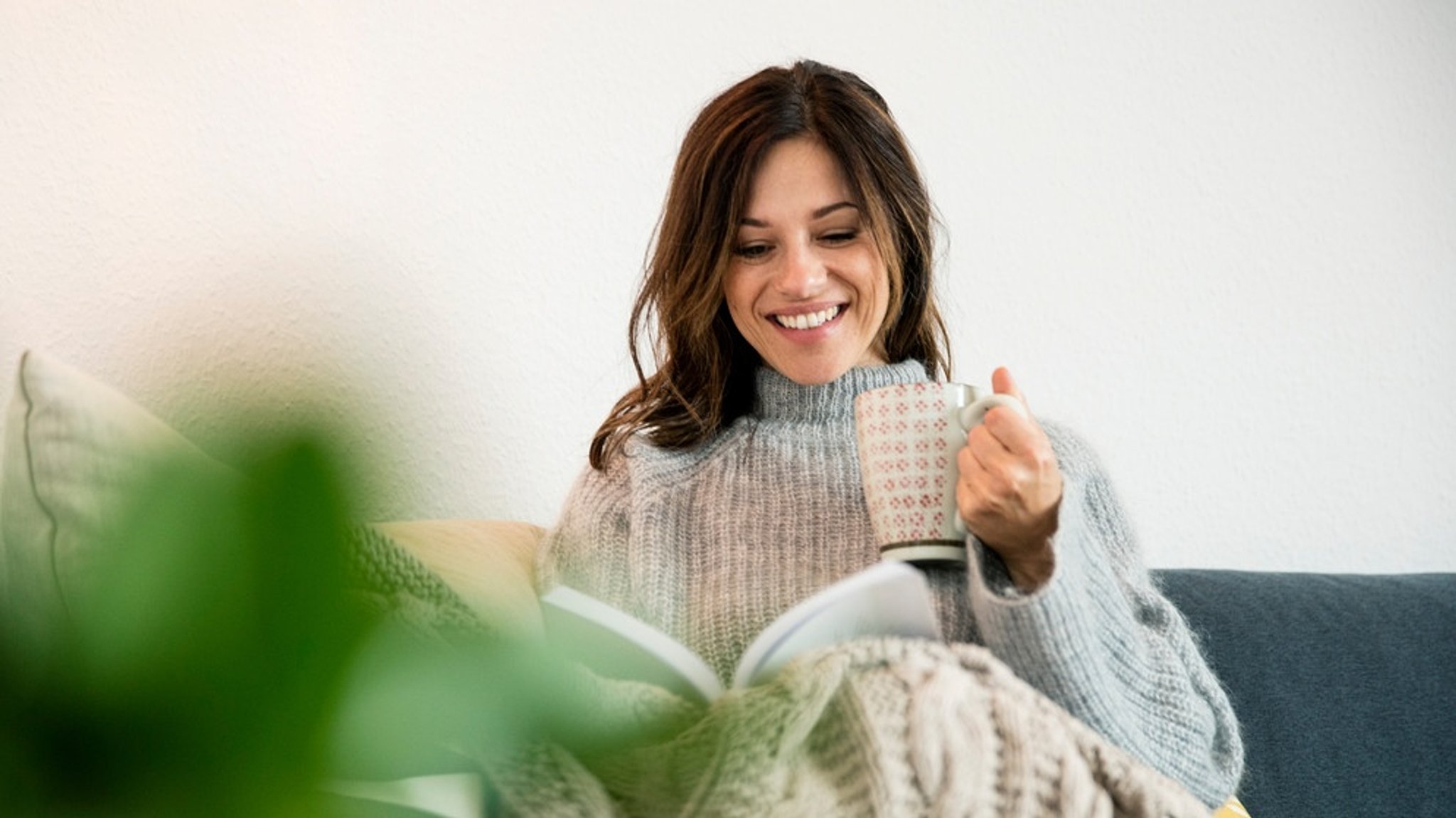 Welcher Tee bei Erkältung?: Hagebutten, Fichtennadeln & Co: Diese Tees machen warm