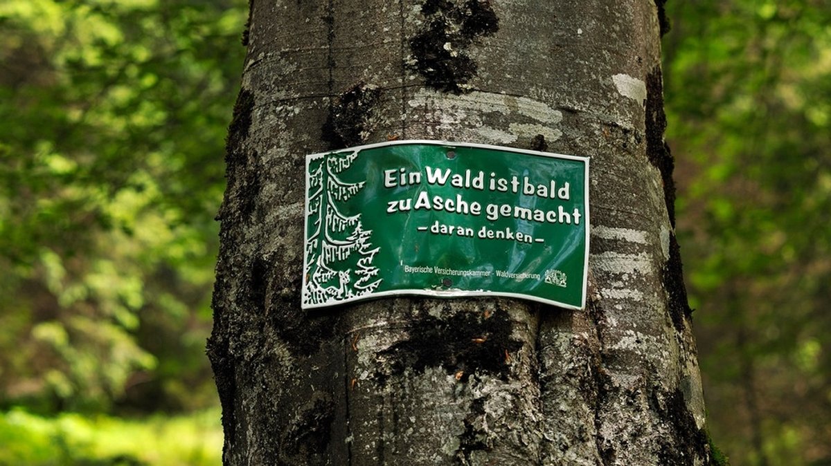 Waldbrandgefahr Bayern: Warum liegen da Verkehrsleitkegel im Wald?