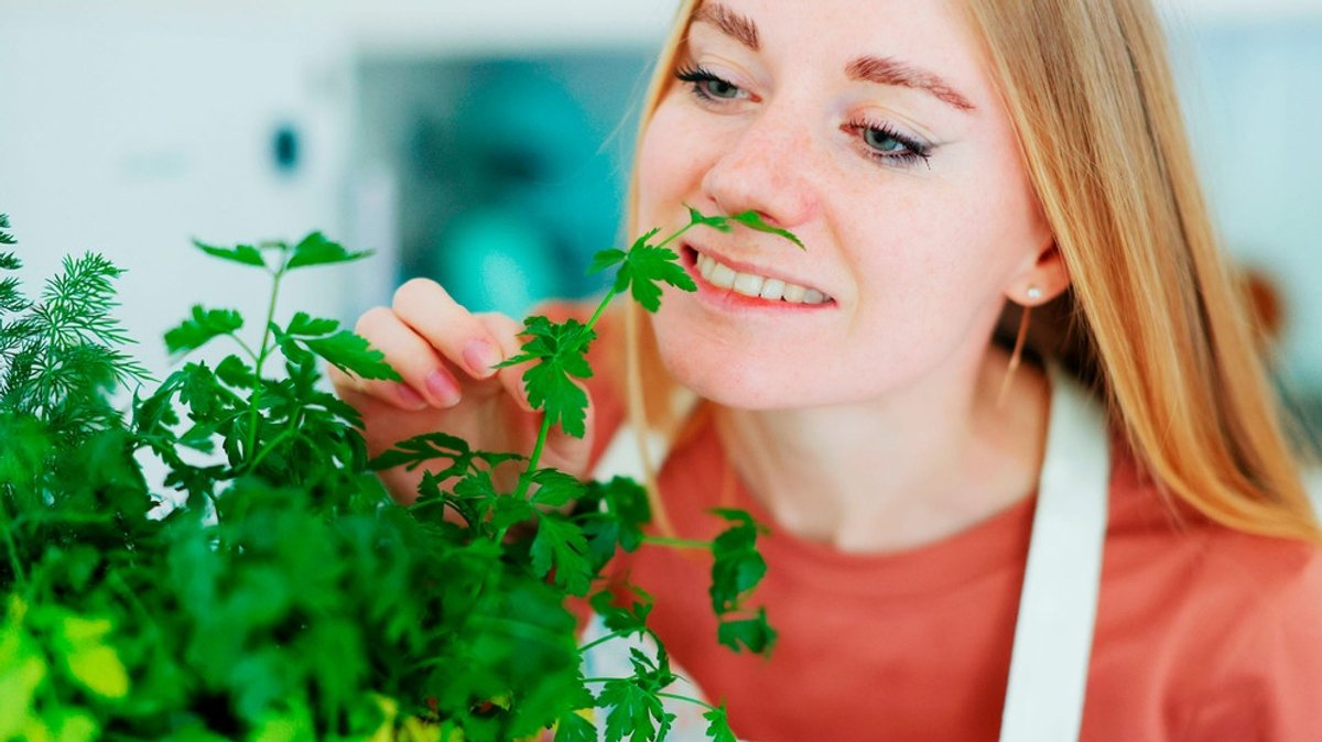 Die 20 gesündesten Gewürze: Diese Kräuter und Gewürzpulver stärken uns