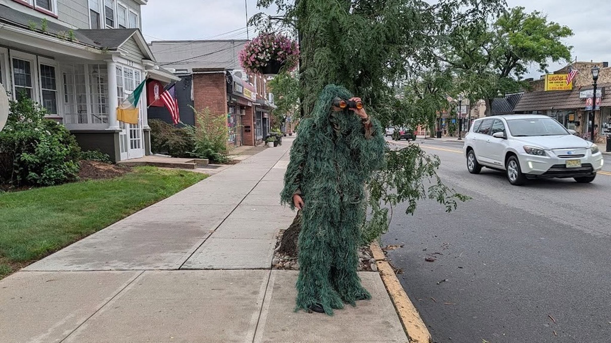 Handy am Steuer - wie hoch ist die Strafe?: Und weshalb sich in den USA ein Polizist als Baum verkleidete...